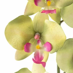 Orchid Spray by Ashland®