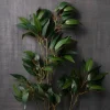 Osmanthus Stem by Ashland®