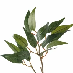 Osmanthus Stem by Ashland®