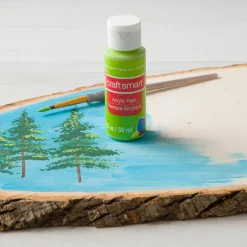2oz. Acrylic Paint by Craft Smart®