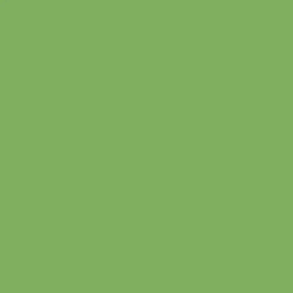 2oz. Acrylic Paint by Craft Smart®