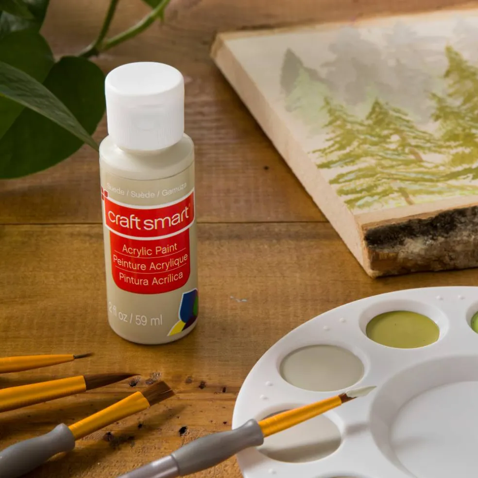 2oz. Acrylic Paint by Craft Smart®