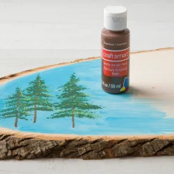 2oz. Acrylic Paint by Craft Smart®