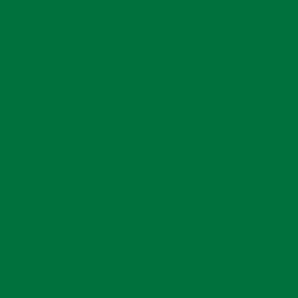 2oz. Acrylic Paint by Craft Smart®