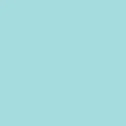 2oz. Acrylic Paint by Craft Smart®