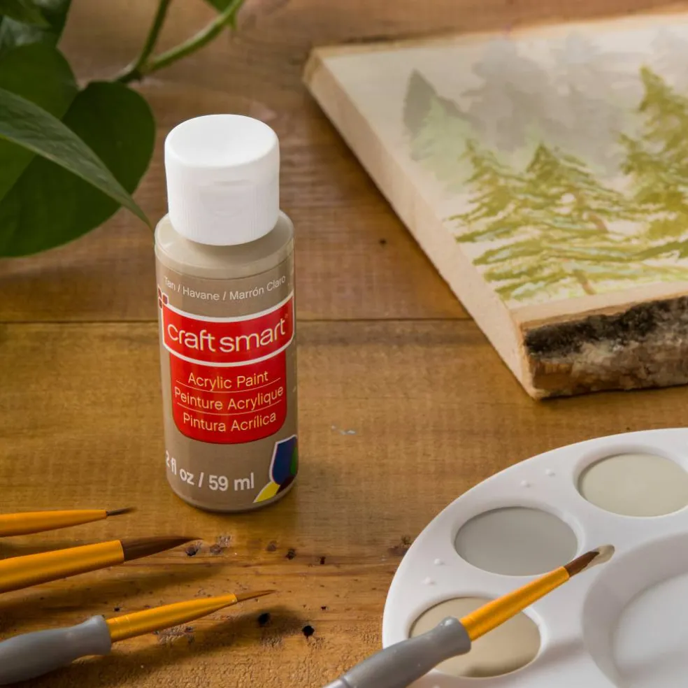2oz. Acrylic Paint by Craft Smart®