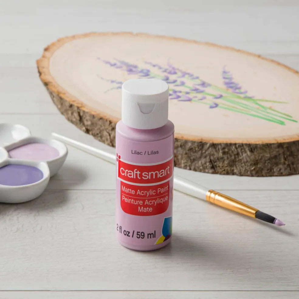 2oz. Acrylic Paint by Craft Smart®