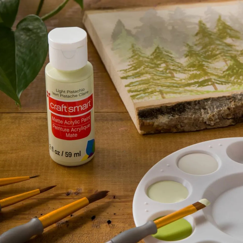 2oz. Acrylic Paint by Craft Smart®