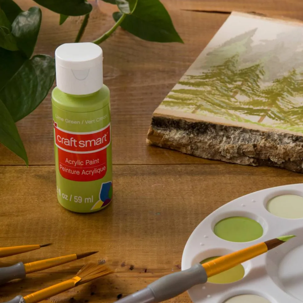 2oz. Acrylic Paint by Craft Smart®