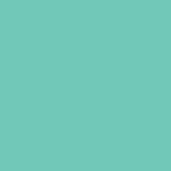 2oz. Acrylic Paint by Craft Smart®