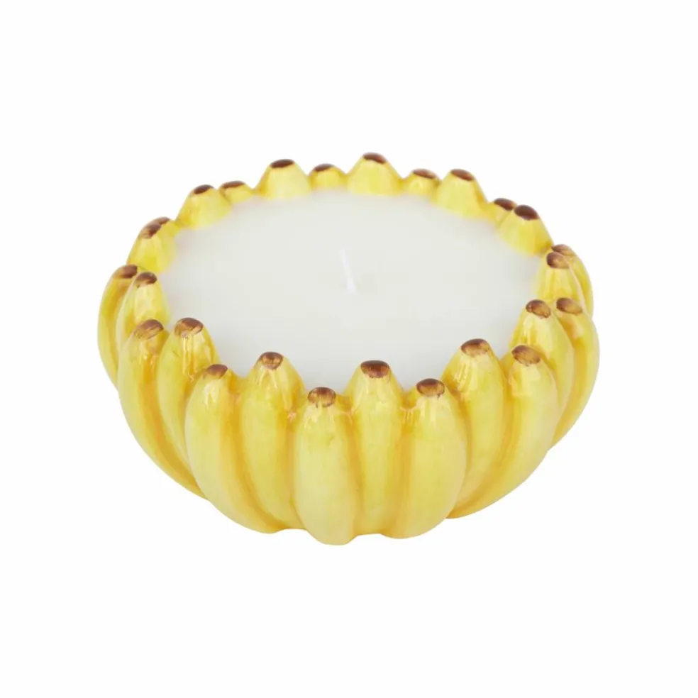 6oz. Citronella, Lemon & Thyme Scented Candle by Ashland®