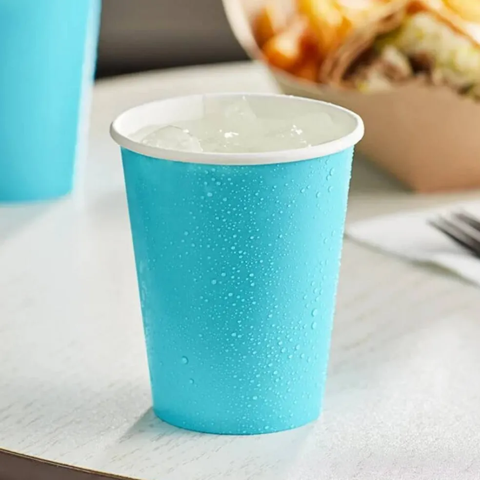 9 oz Disposable Plastic Party Cups, 10 Pack, Multiple Colors