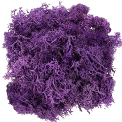 1.7oz. Halloween Moss by Ashland®