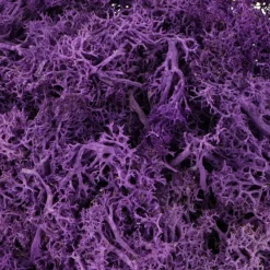 1.7oz. Halloween Moss by Ashland®