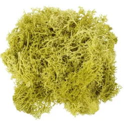 1.7oz. Moss by Ashland