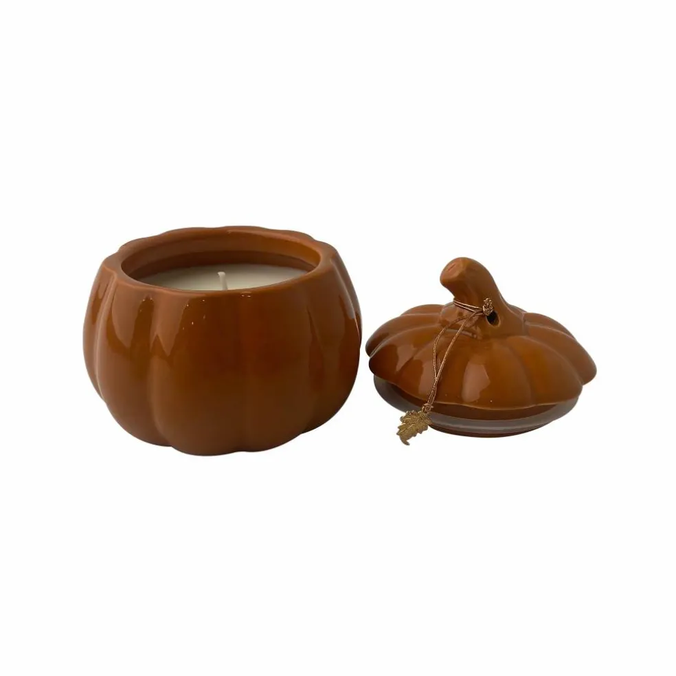 11oz. Pumpkin Hazelnut Scented Ceramic Pumpkin Candle by Ashland®