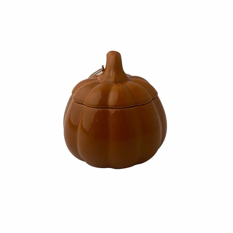 11oz. Pumpkin Hazelnut Scented Ceramic Pumpkin Candle by Ashland®
