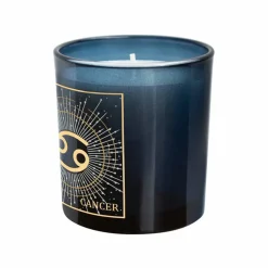 6oz. Zodiac Scented Candle by Ashland®