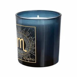 6oz. Zodiac Scented Candle by Ashland®