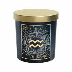 6oz. Zodiac Scented Candle by Ashland®