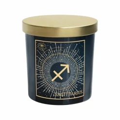 6oz. Zodiac Scented Candle by Ashland®