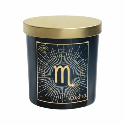 6oz. Zodiac Scented Candle by Ashland®