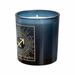 6oz. Zodiac Scented Candle by Ashland®