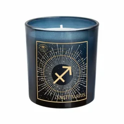 6oz. Zodiac Scented Candle by Ashland®