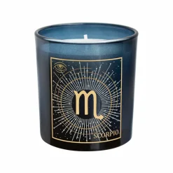 6oz. Zodiac Scented Candle by Ashland®
