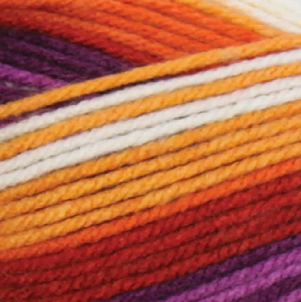 6 Pack: Big Twist® Living Yarn