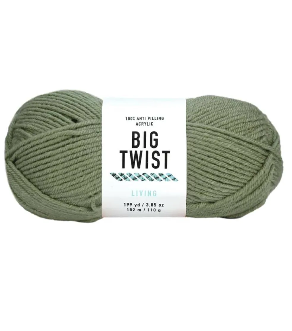 6 Pack: Big Twist® Living Yarn