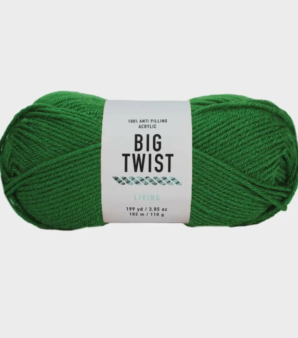 6 Pack: Big Twist® Living Yarn