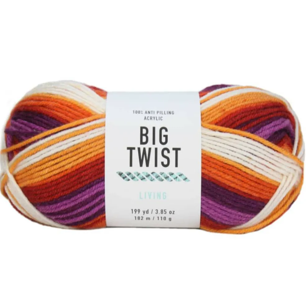 6 Pack: Big Twist® Living Yarn