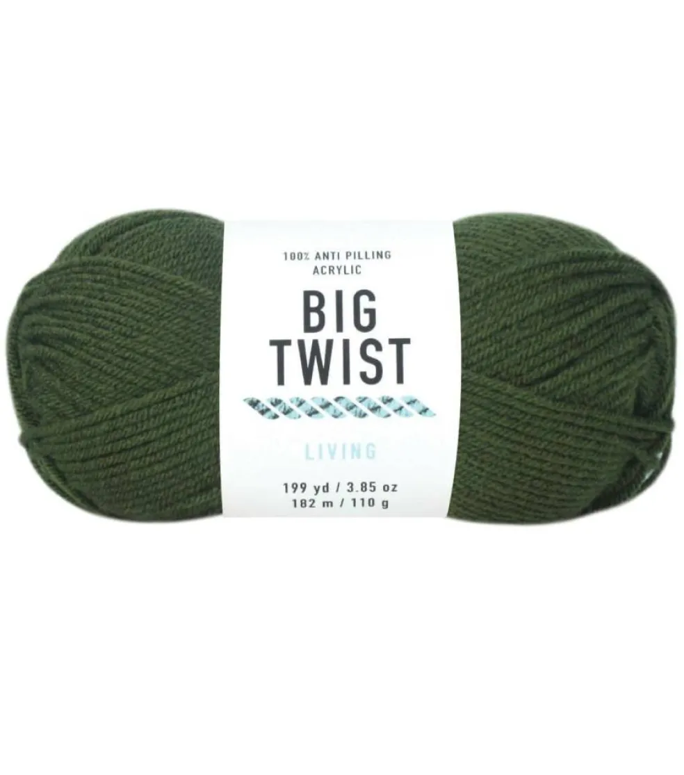 6 Pack: Big Twist® Living Yarn