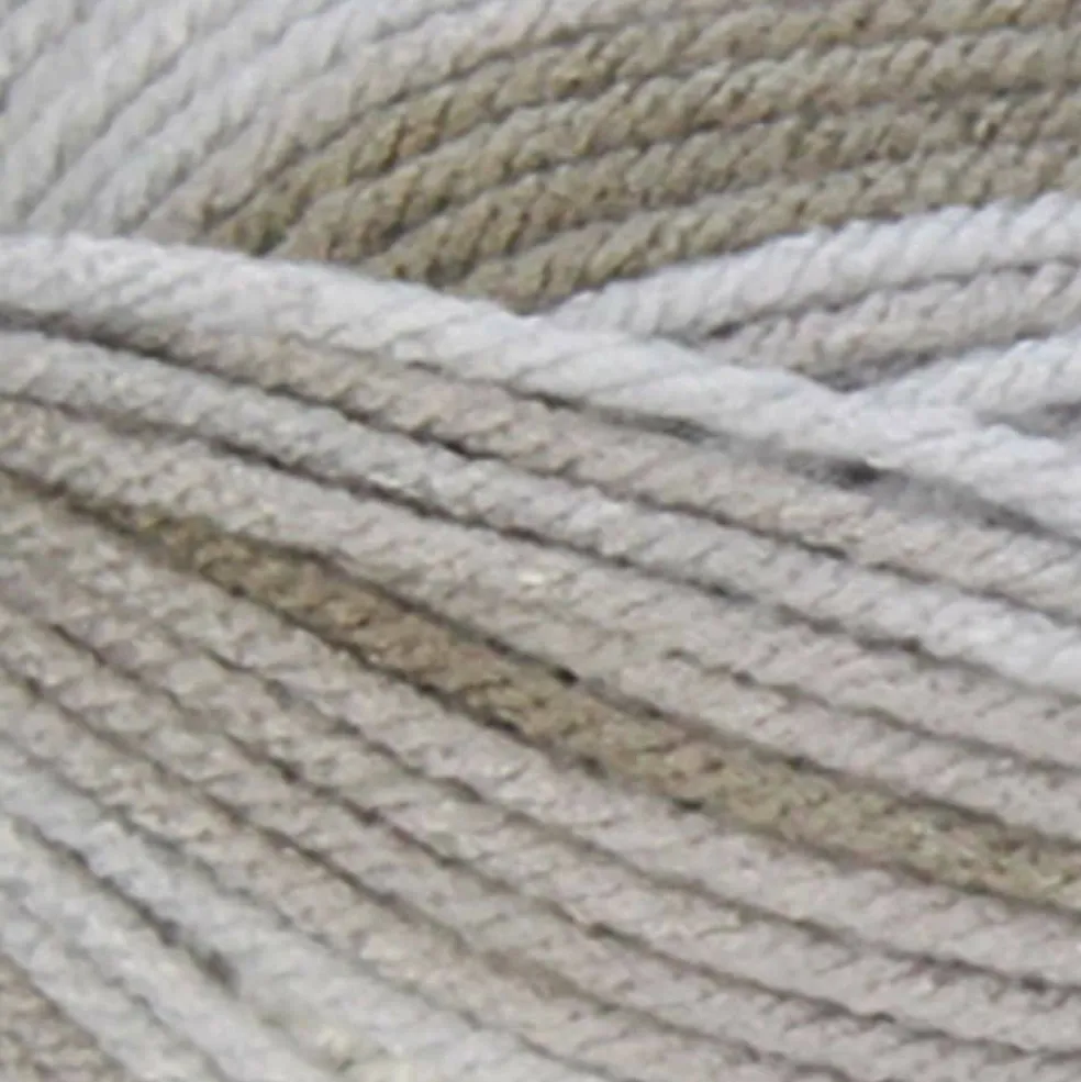 6 Pack: Big Twist® Living Yarn