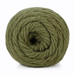 12 Pack: Big Twist® Value Yarn