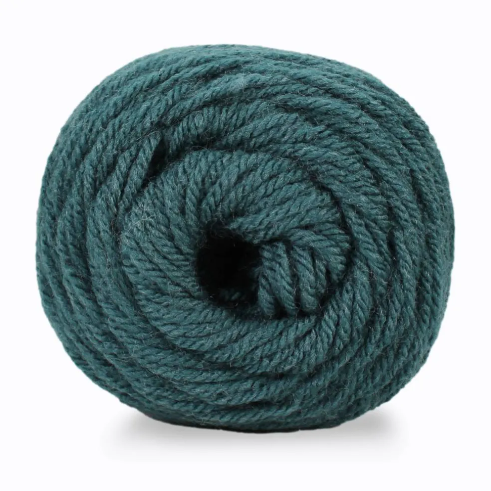 12 Pack: Big Twist® Value Yarn
