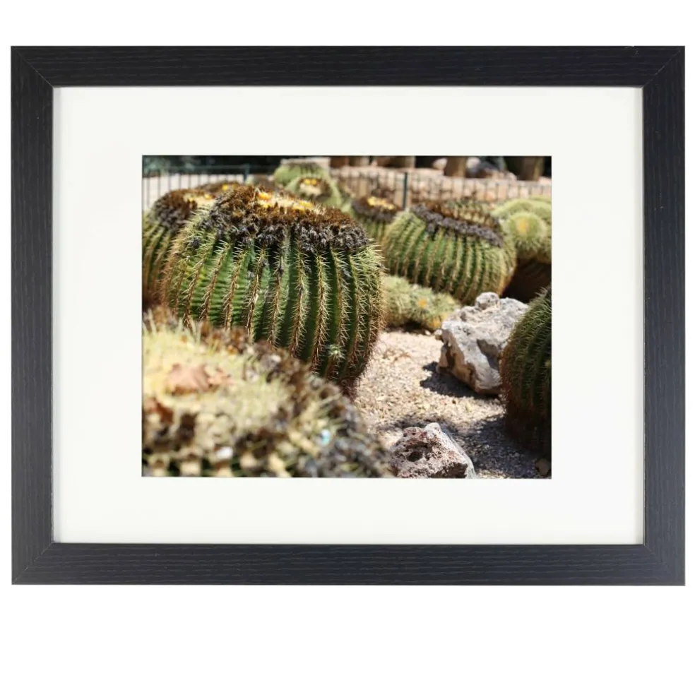 8 Pack: Black Belmont Frame with Mat by Studio Décor®