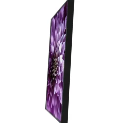 12 Pack: Black Frame, Basics by Studio Décor®