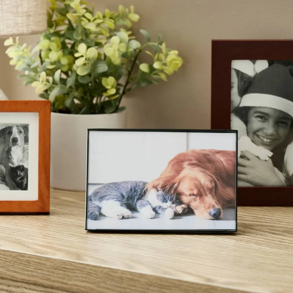 6 Pack: Black Frame, Basics by Studio Décor®