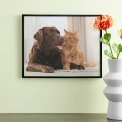 12 Pack: Black Multipurpose Frame, Basics by Studio Décor®
