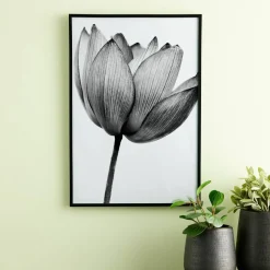 6 Pack: Black Multipurpose Frame, Basics by Studio Décor®