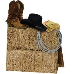 12 Pack Bulk 3-D Western Party Centerpiece