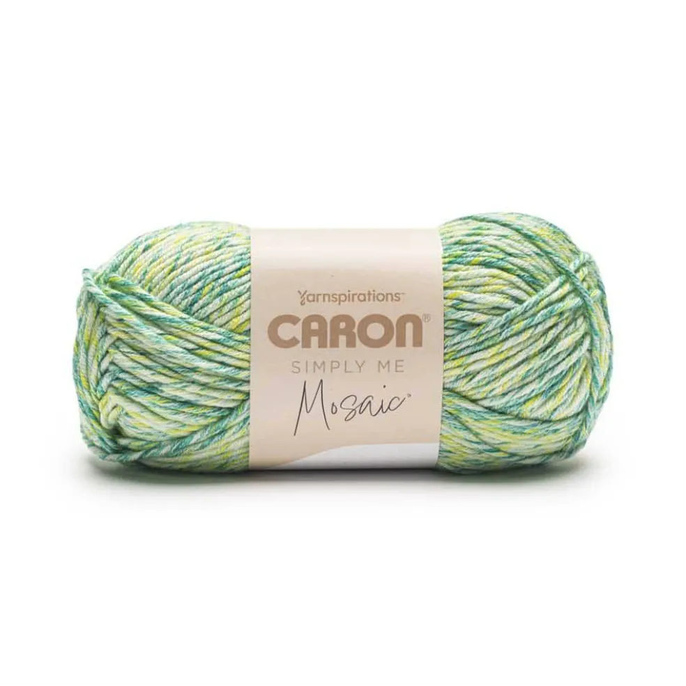 6 Pack: Caron® Simply Me Mosaic™ Yarn