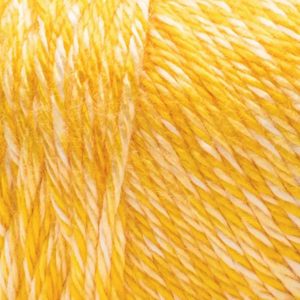 3 Pack Caron® Simply Soft Sunkissed™ Tonal Yarn