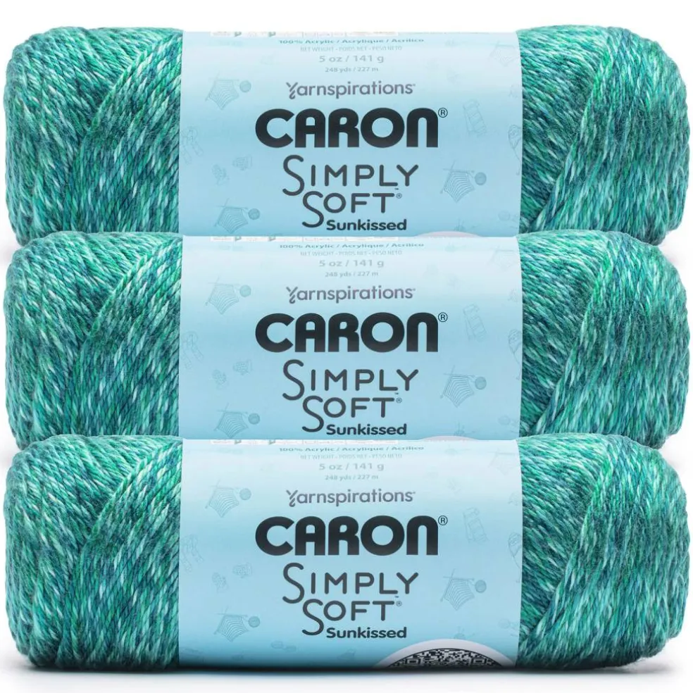 3 Pack Caron® Simply Soft Sunkissed™ Tonal Yarn
