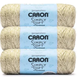 3 Pack Caron® Simply Soft Sunkissed™ Tonal Yarn