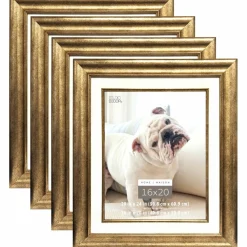 4 Pack: Champagne Frame, 20