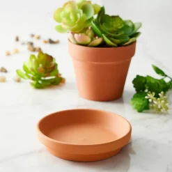 36 Pack: 4" Clay Saucer by Ashland®
