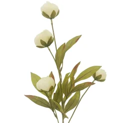 16 Pack: Cream Peony Stem by Ashland®